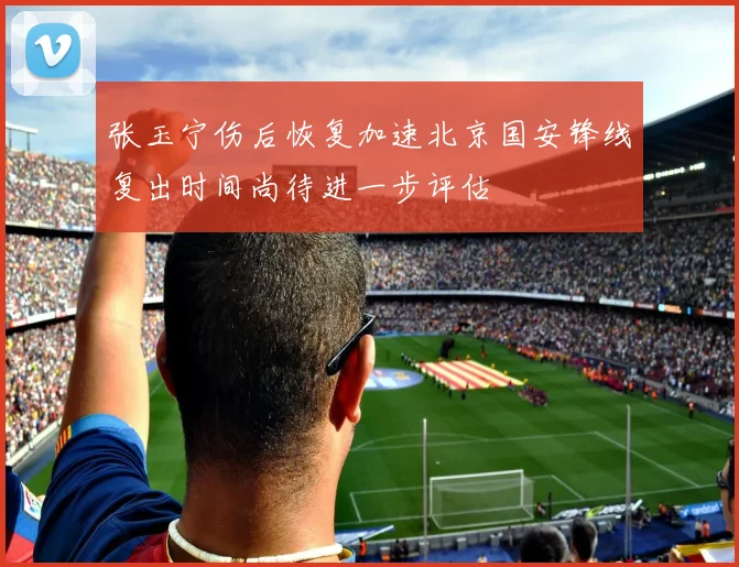 张玉宁伤后恢复加速北京国安锋线复出时间尚待进一步评估