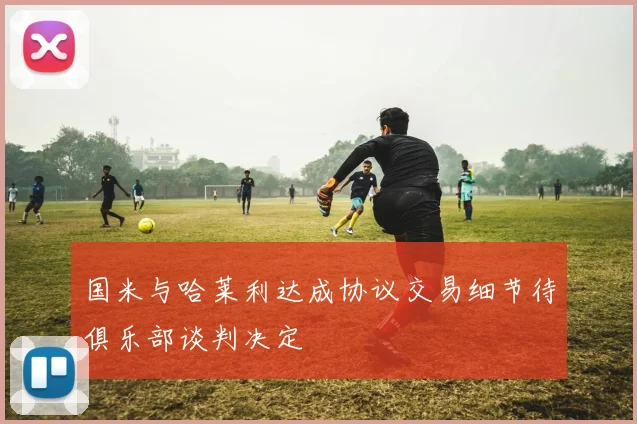 国米与哈莱利达成协议交易细节待俱乐部谈判决定